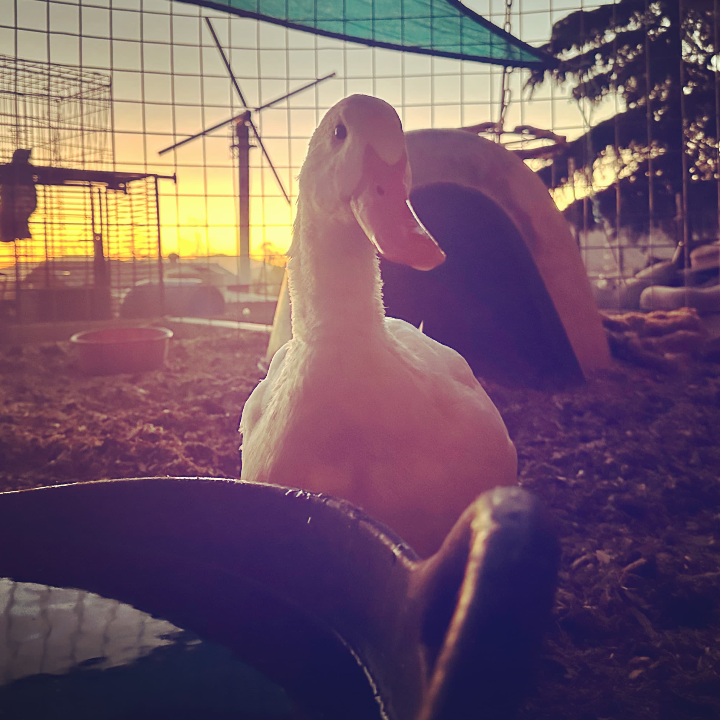 Advocacy Academy - The Offer