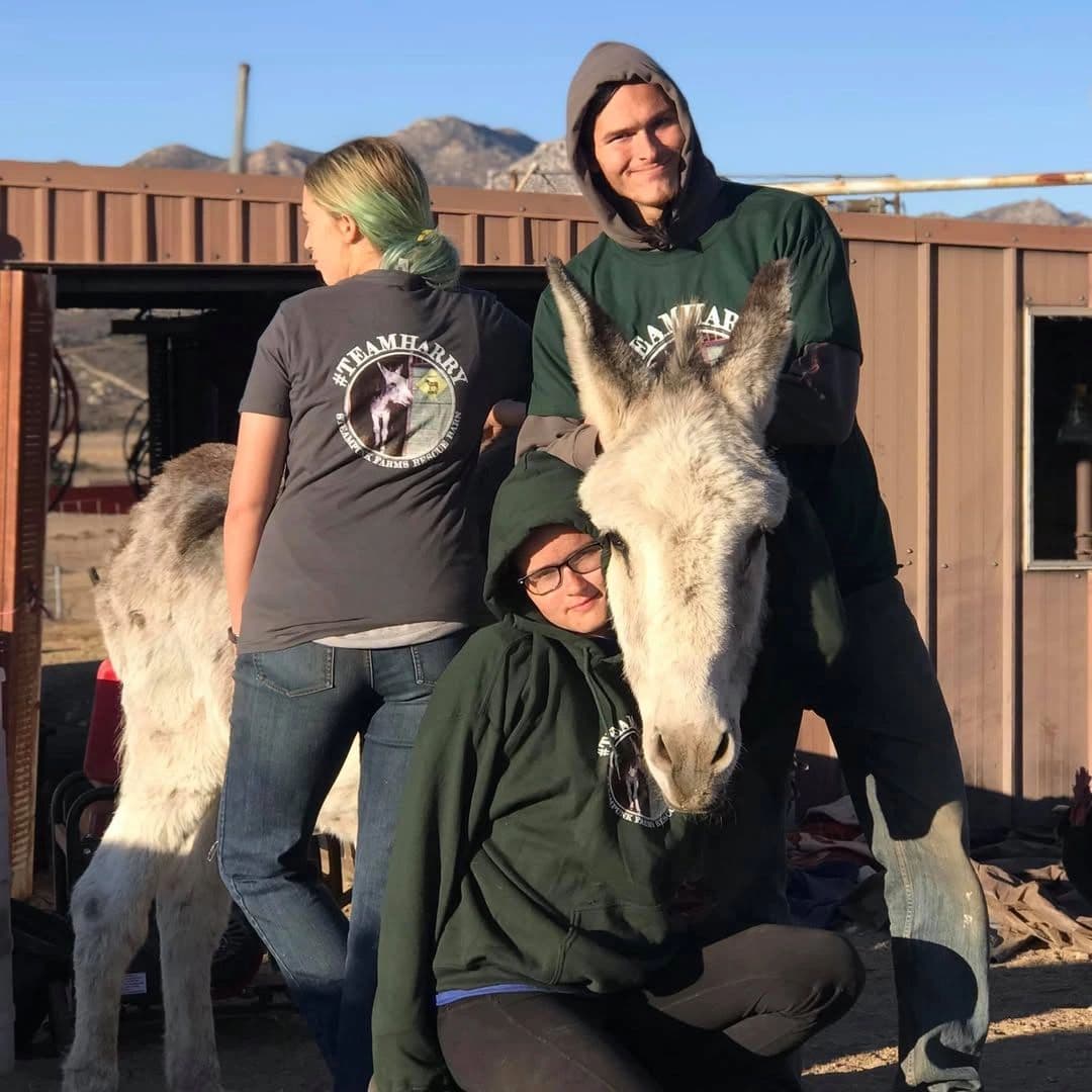 Semicolon — Fancy and Thoughtful Connections