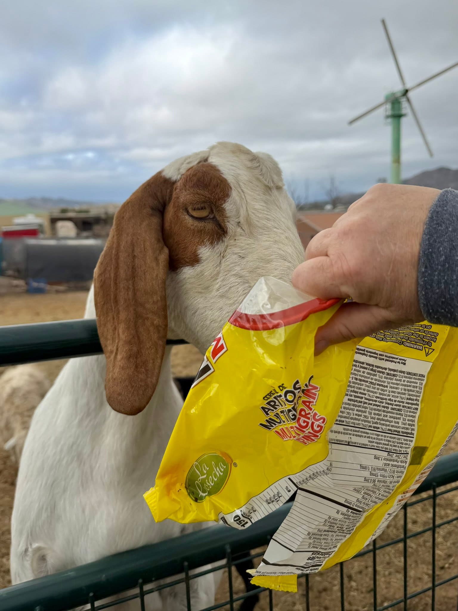 Pima would like everyone to know that we’re out of Cheerios.