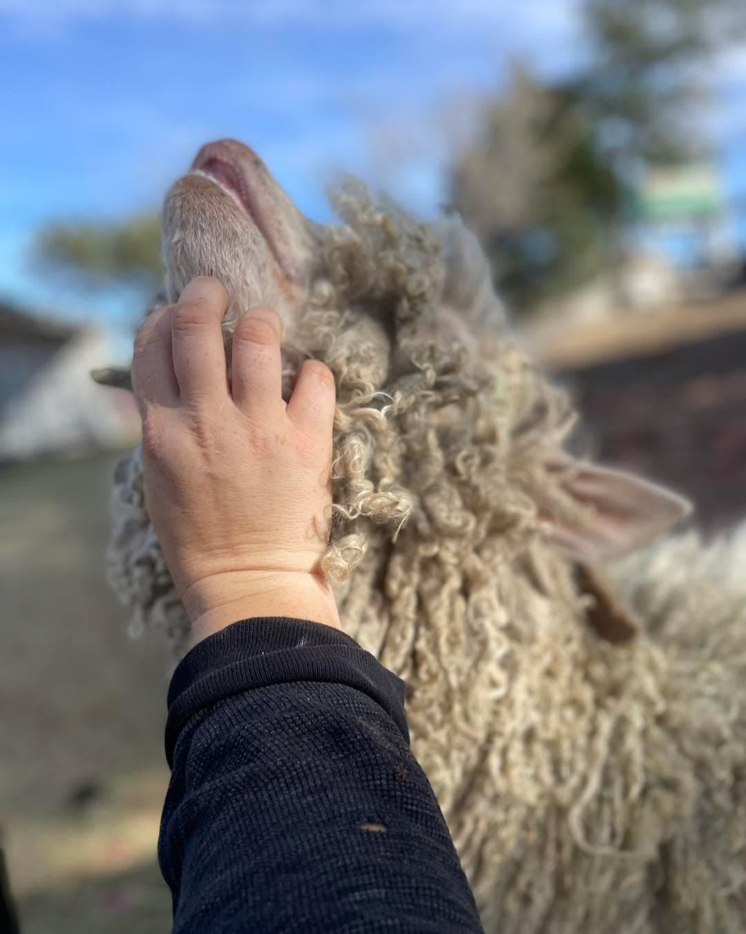 When your hair is as luxurious as Andy’s, nails are sometimes best to scratch...