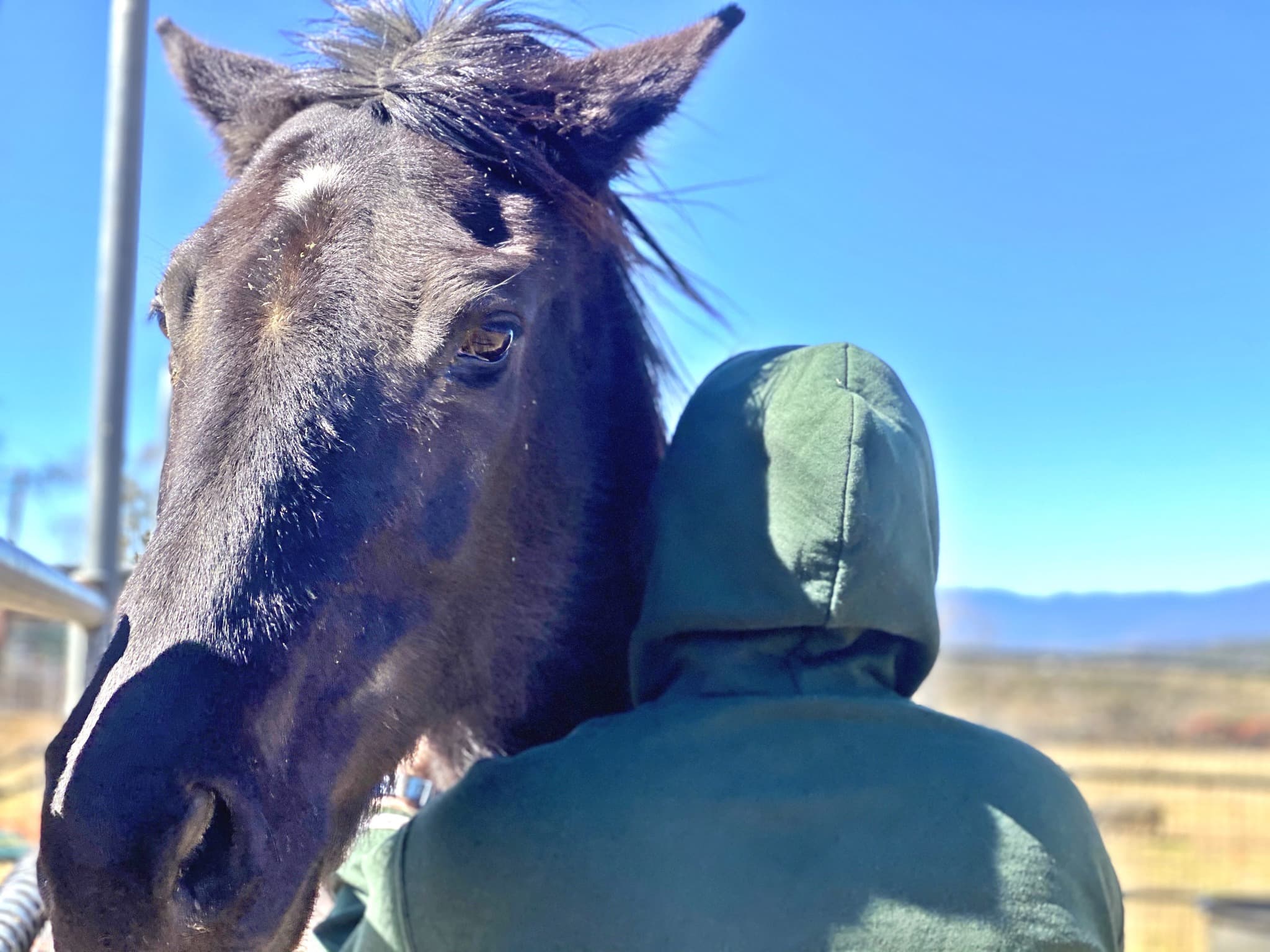 So much trust and love between these two.