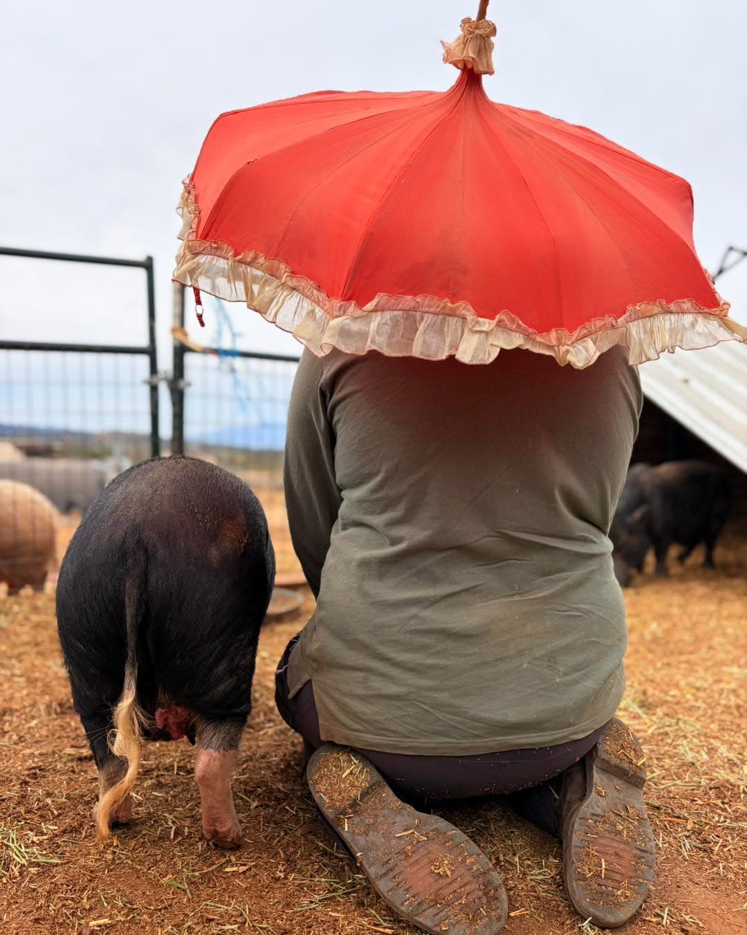 Happy National Umbrella Day!