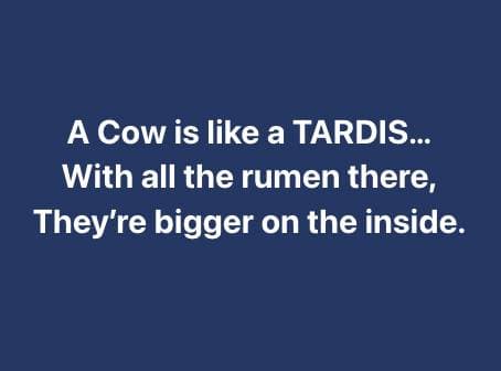 A cow is like a TARDIS.