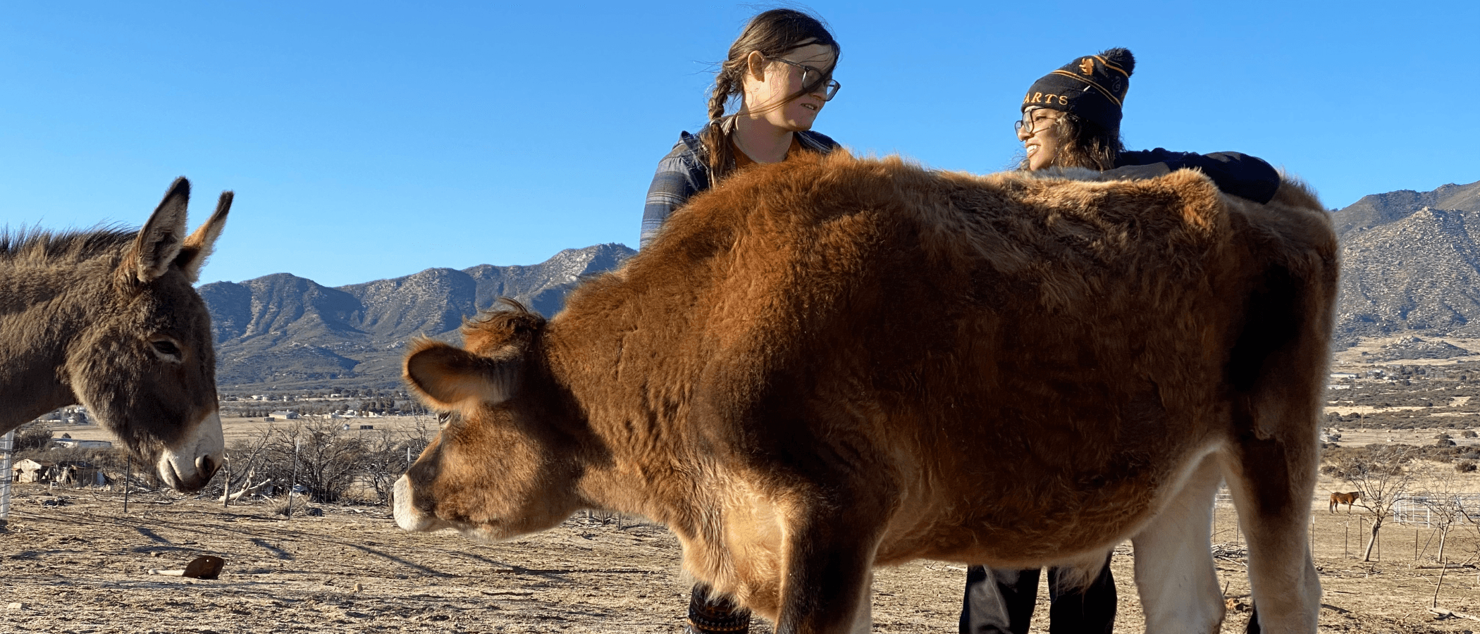 6.png at Steampunk Farms Rescue Barn