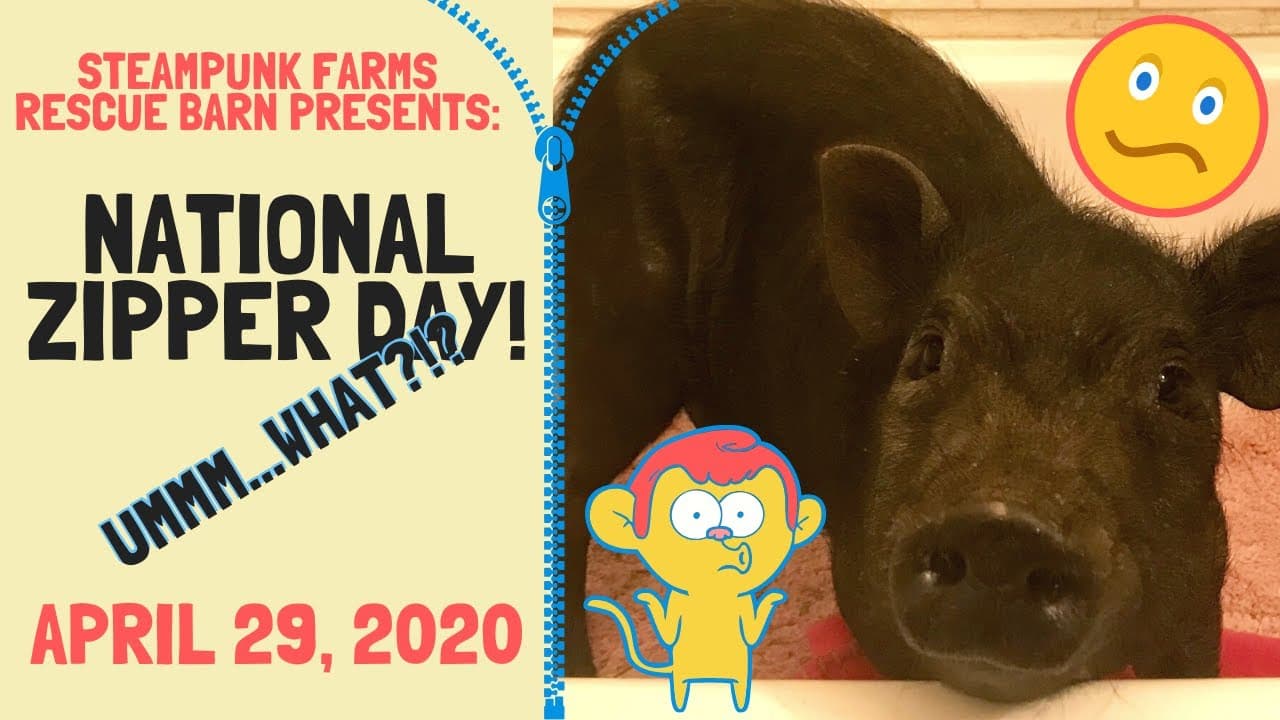 A Rescue Transformation to Celebrate National Zipper Day!